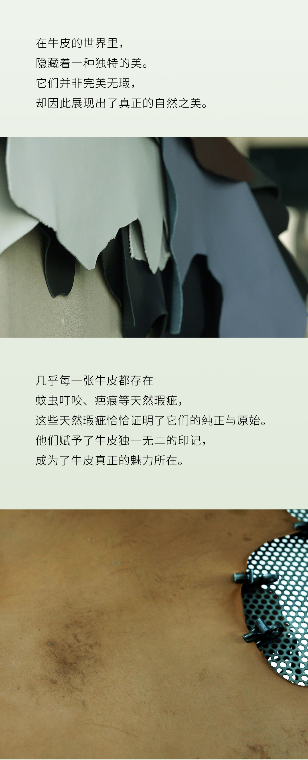 1_02.jpg