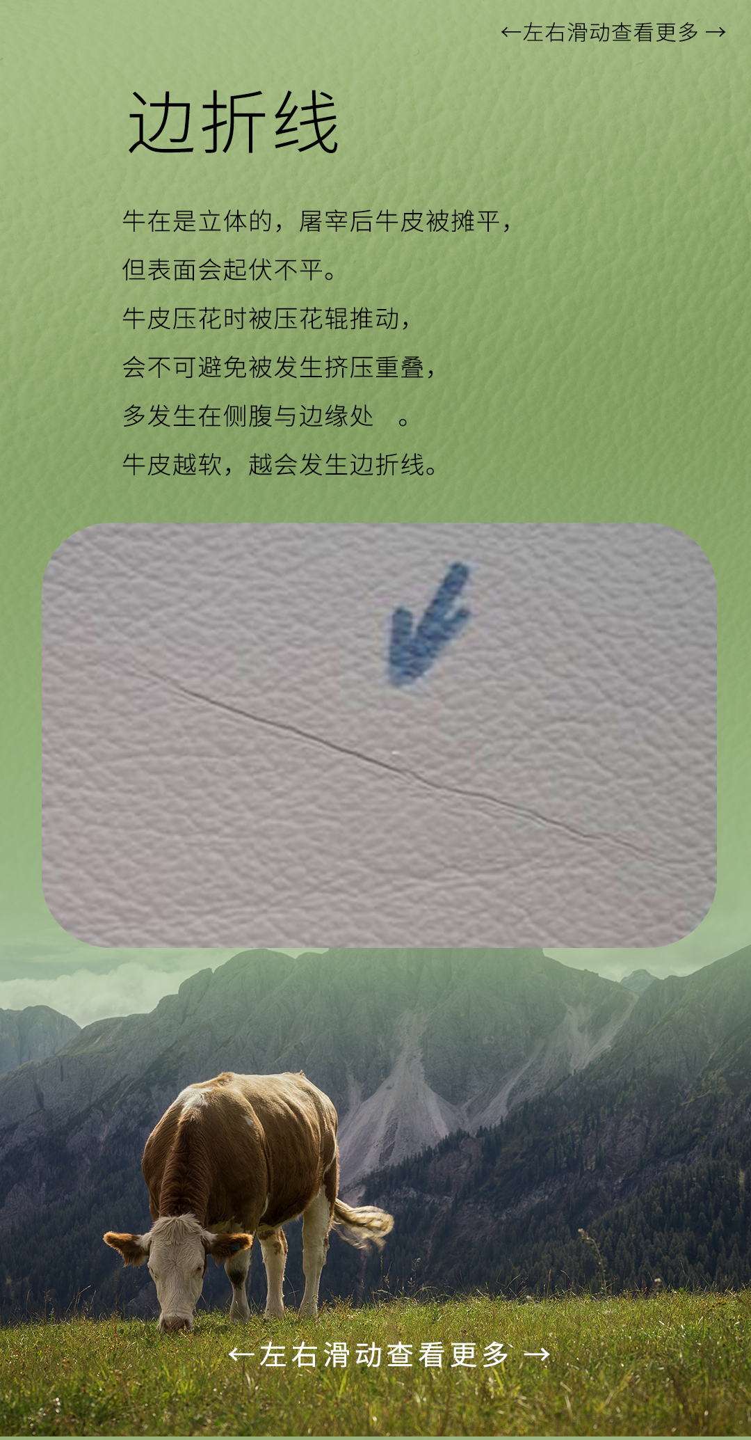 1_09.jpg